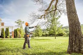Best Landscape Design and Installation  in Morgan Hill, CA