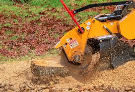 How Our Tree Care Process Works  in  Morgan Hill, CA